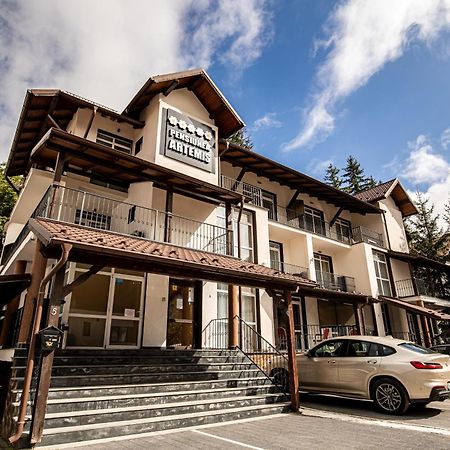 Artemis Villa Poiana Braşov Dış mekan fotoğraf