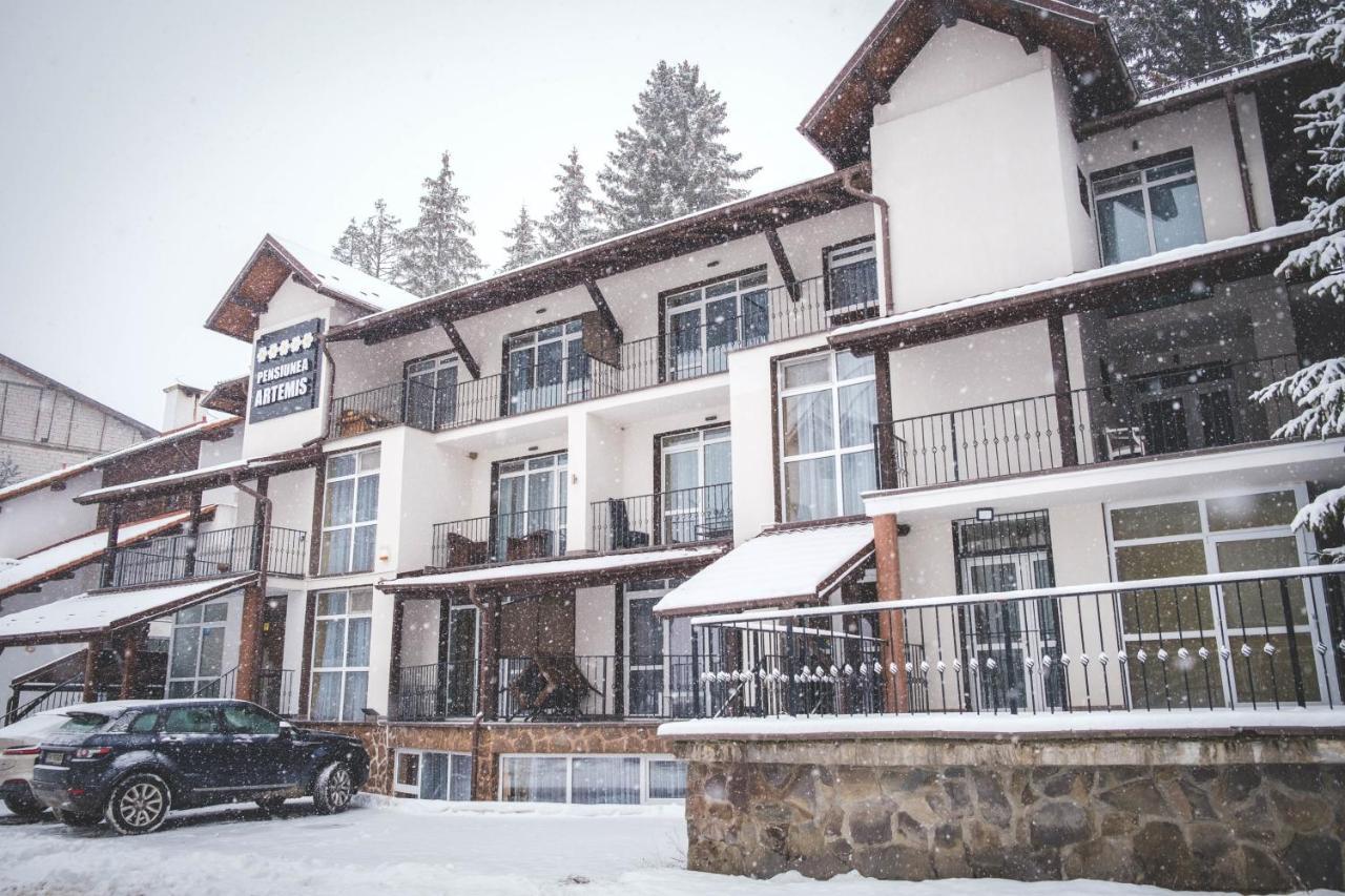 Artemis Villa Poiana Braşov Dış mekan fotoğraf