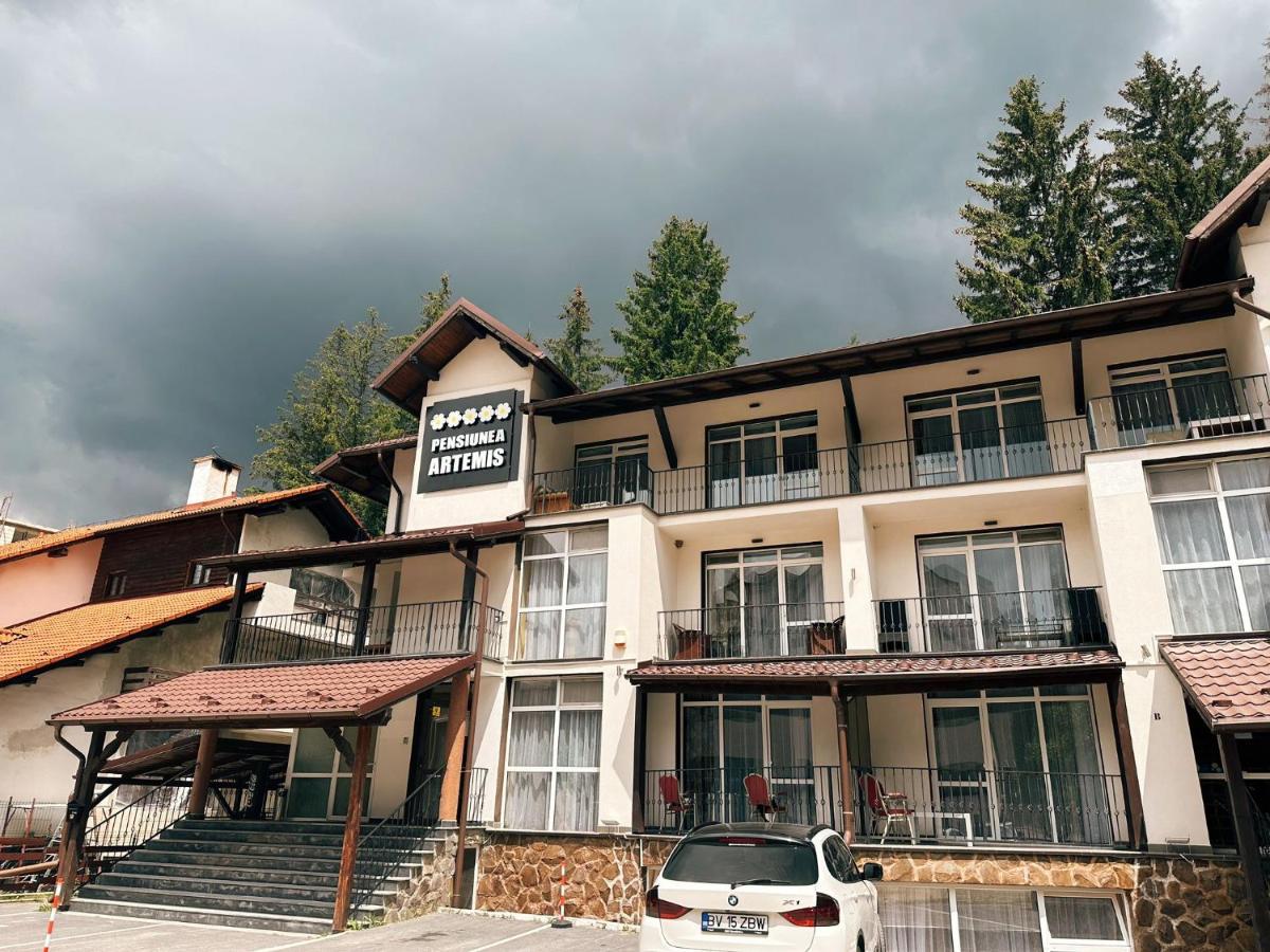 Artemis Villa Poiana Braşov Dış mekan fotoğraf