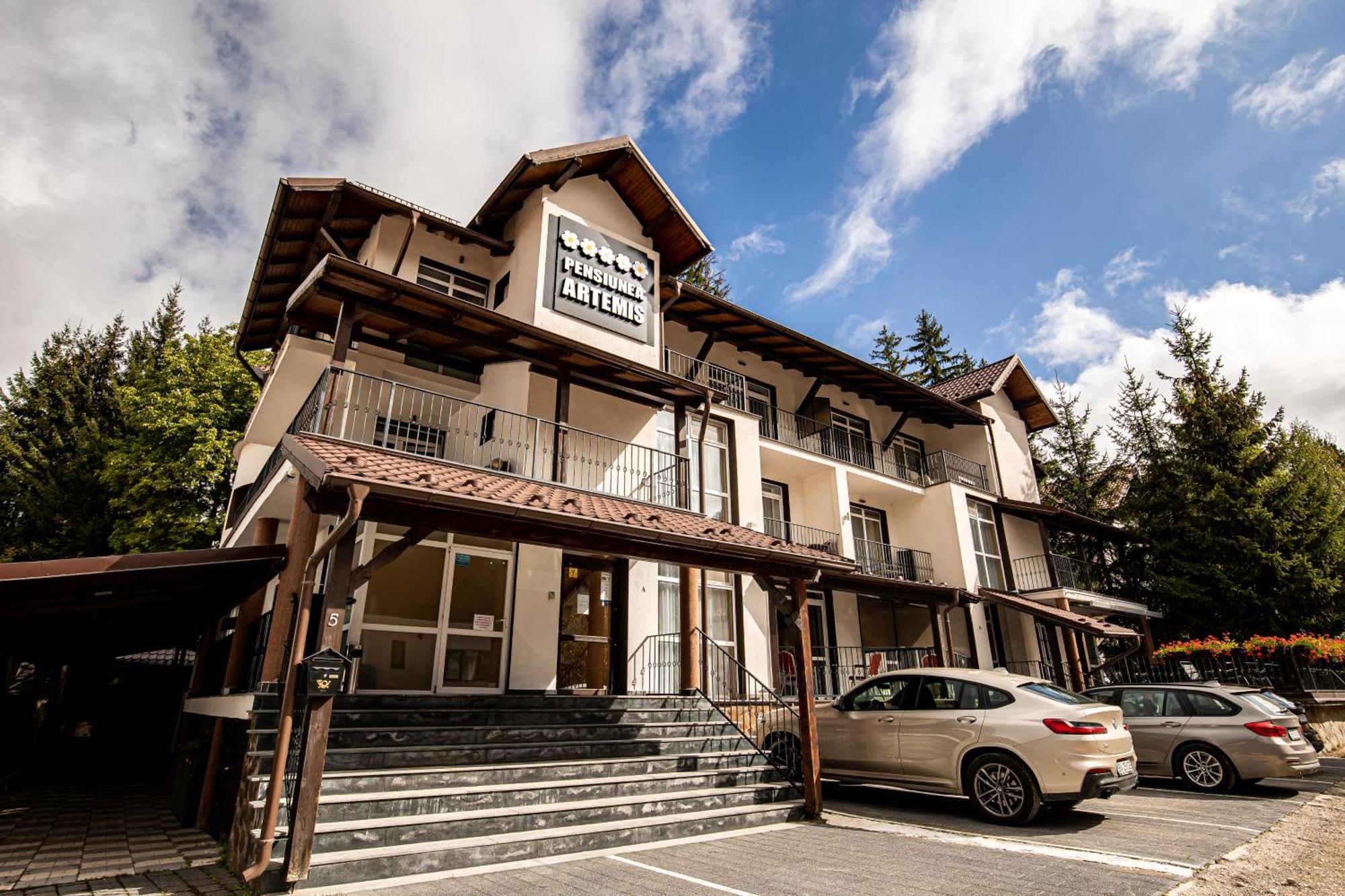 Artemis Villa Poiana Braşov Dış mekan fotoğraf