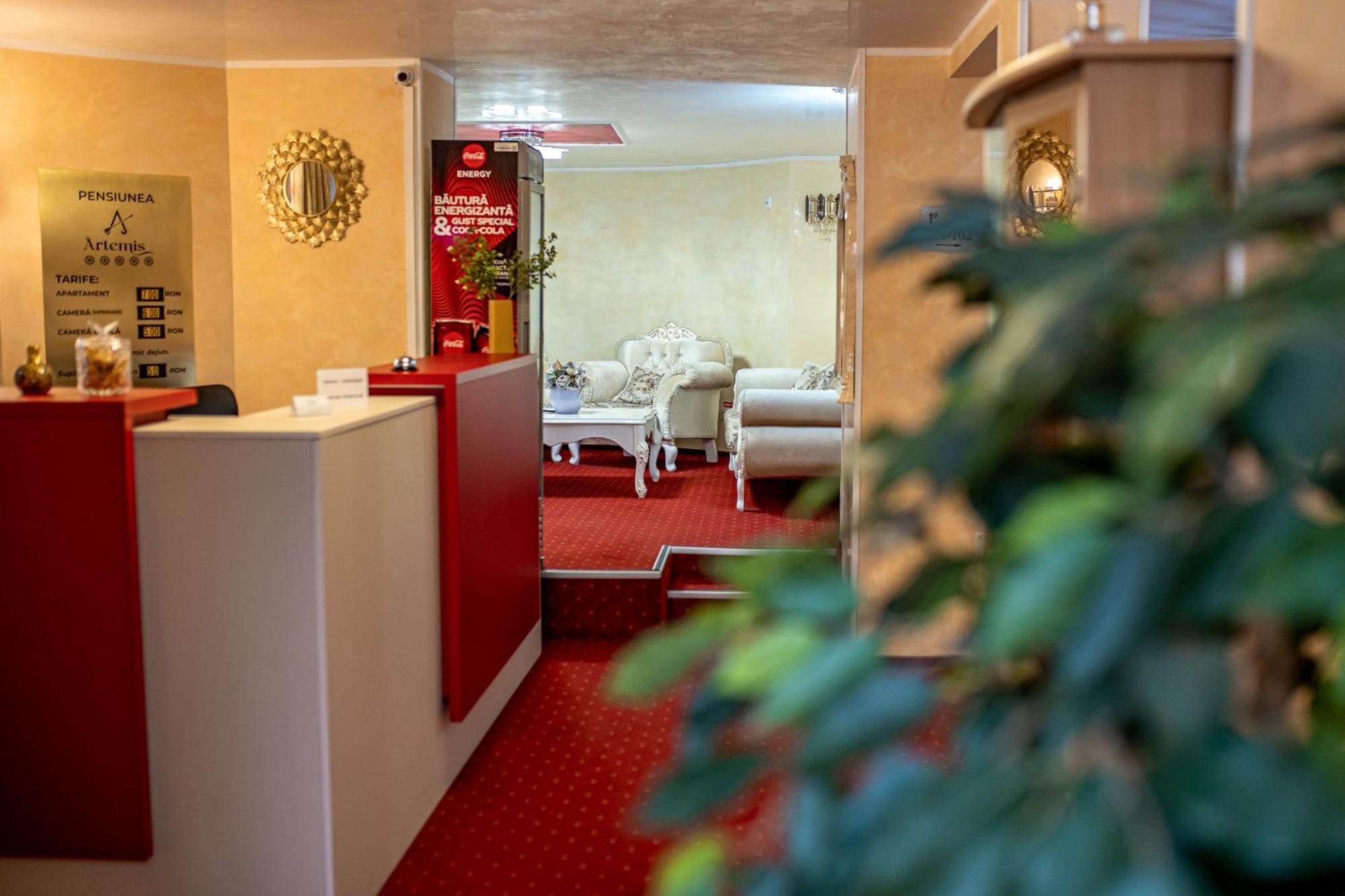 Artemis Villa Poiana Braşov Dış mekan fotoğraf