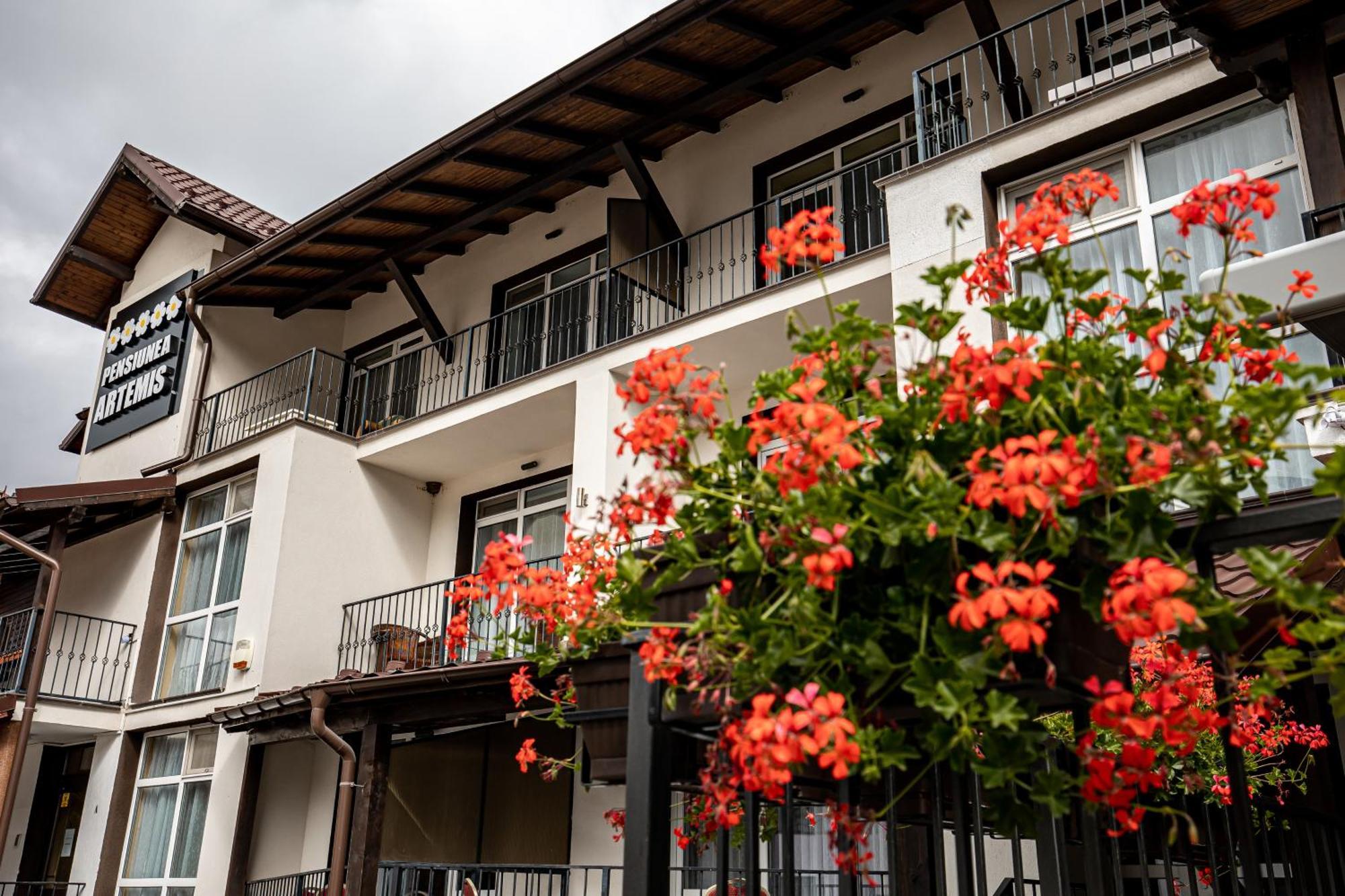 Artemis Villa Poiana Braşov Dış mekan fotoğraf
