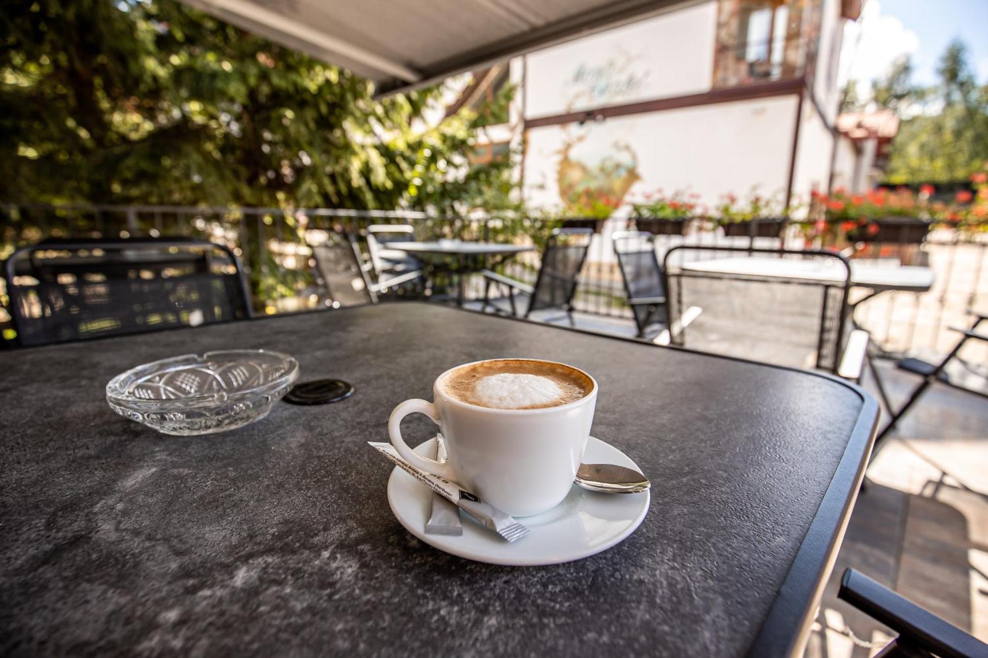 Artemis Villa Poiana Braşov Dış mekan fotoğraf