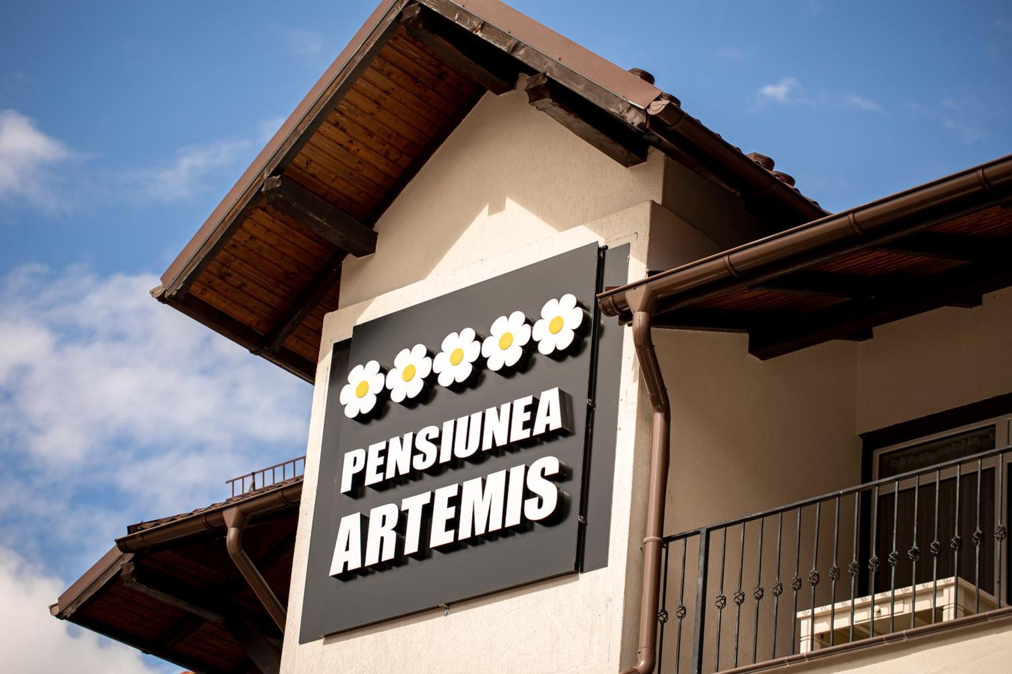 Artemis Villa Poiana Braşov Dış mekan fotoğraf