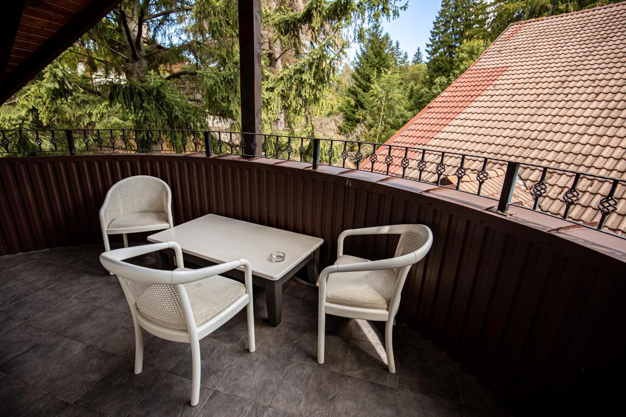 Artemis Villa Poiana Braşov Dış mekan fotoğraf