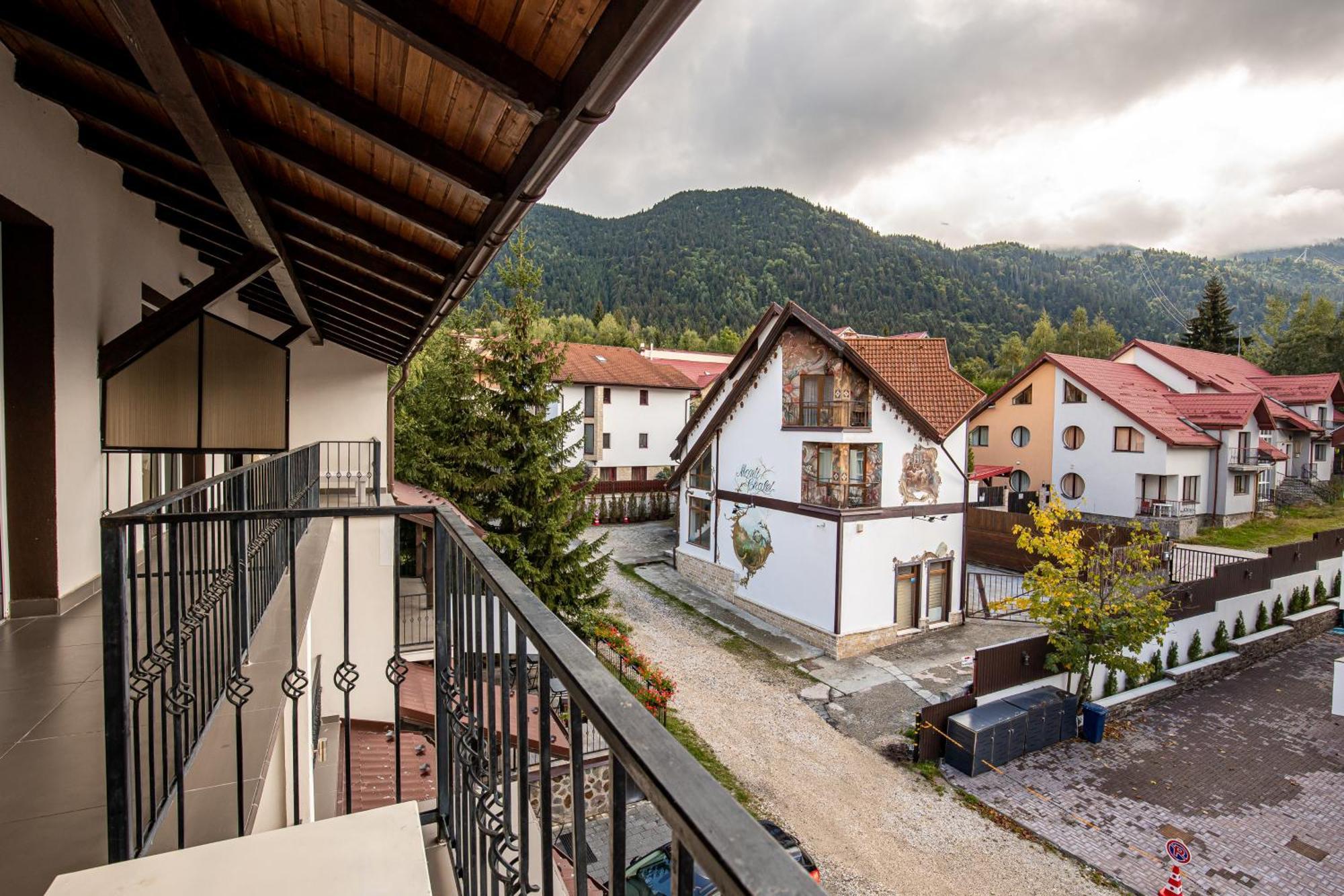Artemis Villa Poiana Braşov Dış mekan fotoğraf
