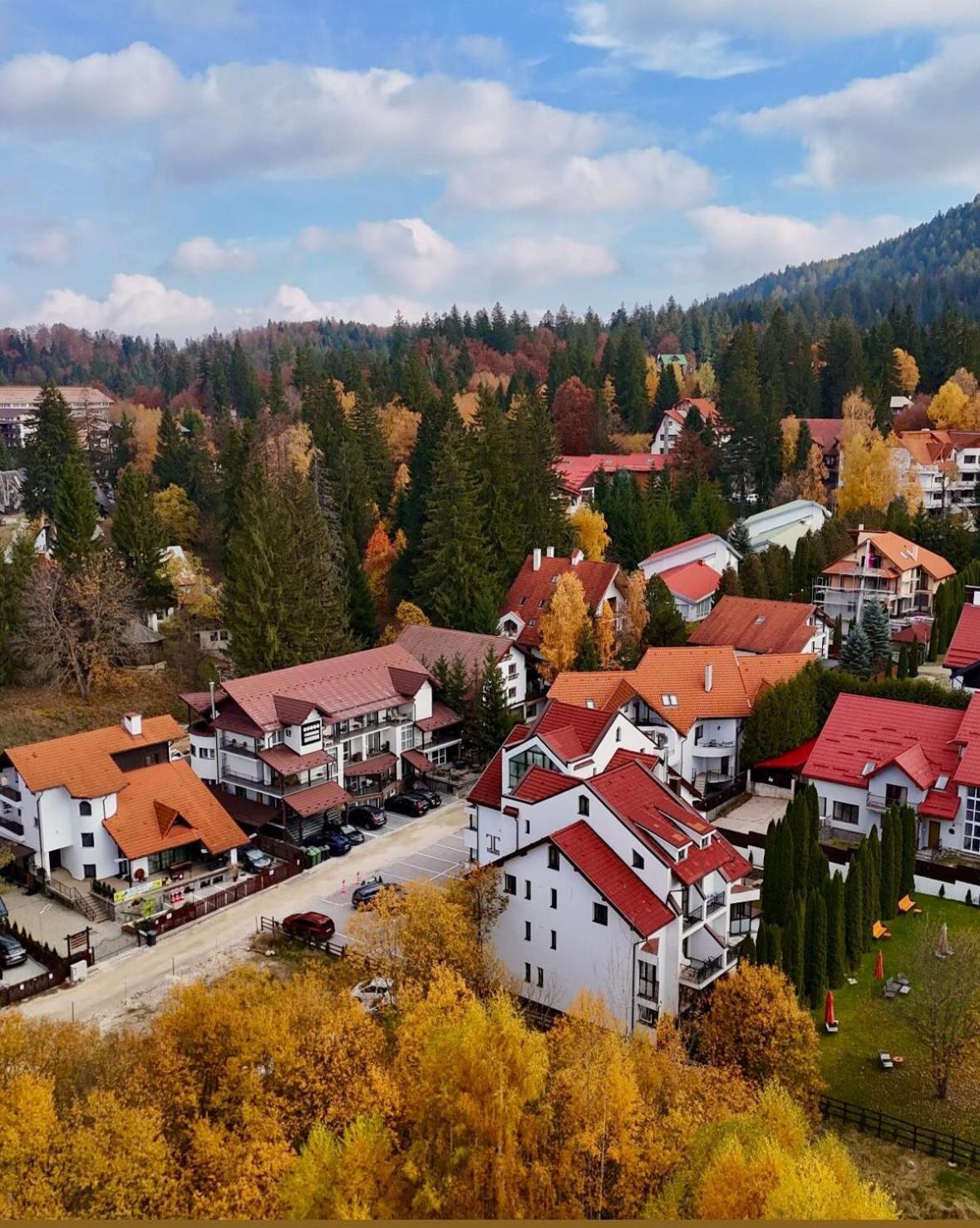 Artemis Villa Poiana Braşov Dış mekan fotoğraf